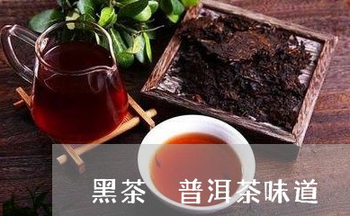 黑茶 普洱茶味道/2023041223736